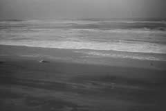 HURRICANE CONNIE STRIKES EAST - 1955 - Film & Video Stock